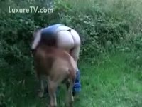 Big dog can't reach his master's snatch